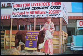 Houston TX Grand Chanp Steer Bill Williams $20K