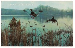    DECOYS Duck Hunting Bay City Michigan BIRD POSTCARD Unused FREE SHIP