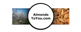 blanched almond flour from california fine ground blanched almond 