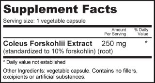 The extract is derived from the Coleus forskohlii plant, a member of 