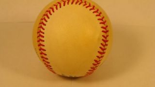 Ted Williams Hand Signed Bobby Brown Ball and Display