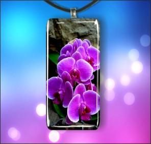 FLOWER_BLUE_ORCHID_001450