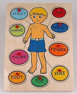 Body Parts Vocabulary Learning Board Puzzle for Kids K0060 1
