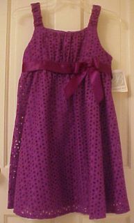 Bonnie Jean Lined Purple Eyelet Dress 12 5 18 5