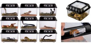 Exo Terra Breeding Box Small PT2270 Reptile Supplies  by 