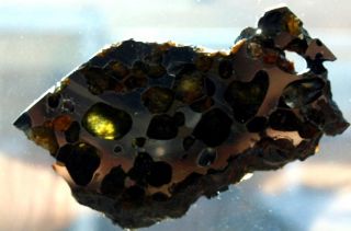 Brenham Pallasite Meteorite 43 2 GR Slice Translucent