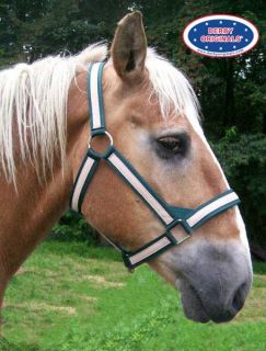 Nylon Draft Horse Overlay Halter Tan with H Grn Stripes
