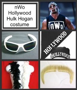   HOLLYWOOD Hulk Hogan COSTUME Bandana Sunglasses Moustache Feather Boa