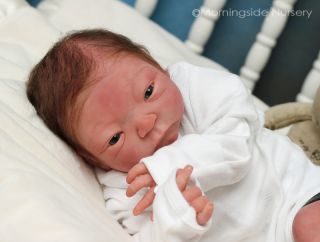 Reborn Julie Molloy Adam/Addison mix newborn baby. Brenden Scott