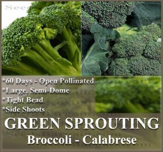 Broccoli Seeds Organic Green Sprouting Calabrese A