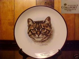 coalport fine bone china cat portriat plate 6 1 2