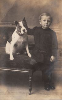 Antique Photo Boy w Dog Pitbull Bully Dog Staffordshire Bull Terrier 