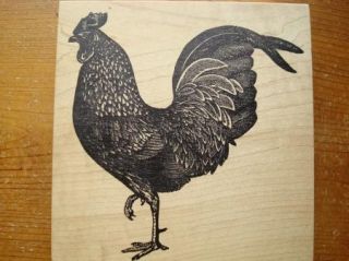 Giant Rooster Burd by Magenta Rubber Stamp