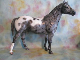 Breyer OOAK Custom Appaloosa Classic Stock Quarter Horse Love Mold LSQ 