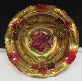 Antique EAPG Goofus Glass 9 Bowl Gold Ruby Red Daisy Cosmos Flowers 