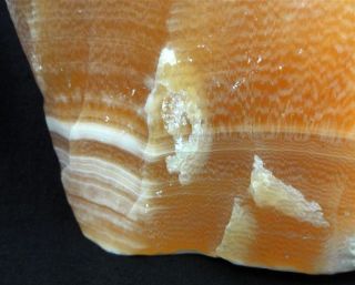 Gigantic 7lb Creamsicle Orange Calcite Rough Raw Rock Display Banded 