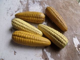 Lot of 5 Primitive Vintage Miniature Ceramic Corn Cobs Farm Find