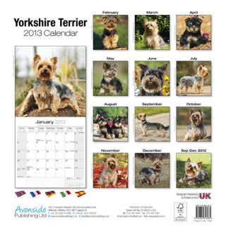   motivational inspirational yorkshire terrier 2013 calendar 10080 13