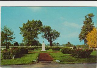 Horse Cemetery Calumet Farm Lexington Kentucky KY Crome Postcard B05 