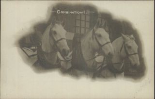 Everett MA Fire Department Horse Team Combination 1 c1910 Real Photo 