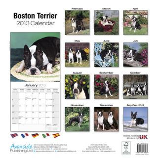   art motivational inspirational boston terrier 2013 calendar 10019 13