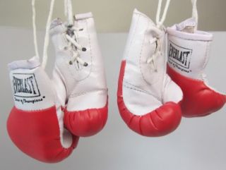 Everlast Mini Boxing Gloves Souvenir Replica 2pr Red New Hang Mirror 