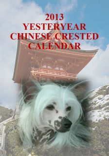 NEW 2013 CHINESE CRESTED DOG YESTERYEAR CALENDAR FREEPOST INLAND