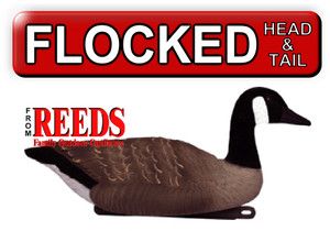Tanglefree Canada GOOSE Floater Decoy Flocked Head Tail 4 Pack D73511F 