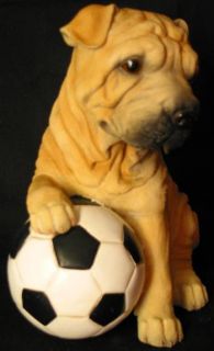 Adorable Shar Pei Dog w Soccer Ball Money Bank