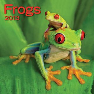 Frogs 2013 Mini Wall Calendar