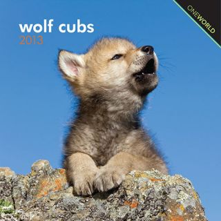 Wolf Cubs 2013 Mini Wall Calendar