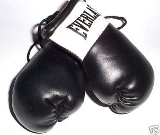 Everlast Black Mini Boxing Gloves for Autograph Hunters