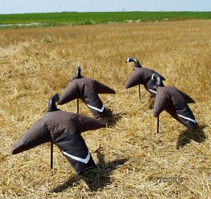 Northwind North Wind Hovering Canada GOOSE Decoys 4 New