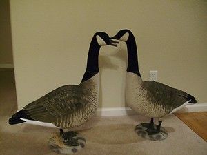 Canada GOOSE Decoys 2 Avery FFD Elite Lookers