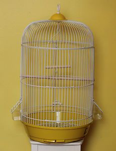 Cage Bird New for Parakeet Canary Parrot Round Cage Real Wood Yeliow 