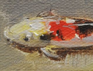   Fish Art Koi Brocade Carp Original Oil Painting ACEO”