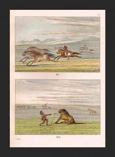 Indians Lasso Wild Horses 1892 George Catlin Chromo