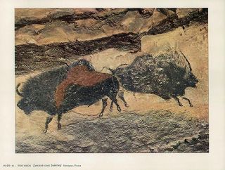Vintage 1959 Print of Lascaux Cave Painting Two Bison