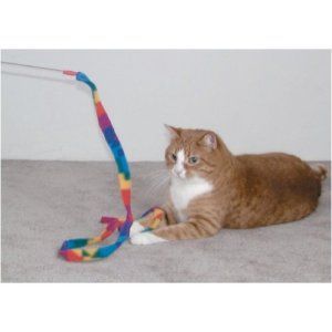 Cat Dancer Cat Charmer Wand Teaser Cat Kitten Toy