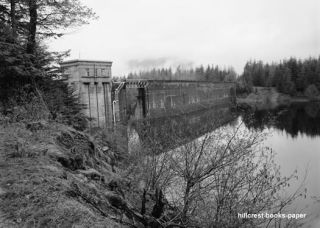 Hydroelectric Dam Cedar Falls Washington WA Photo Pic