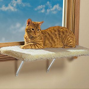 New Cat Shelf with Removable Washable Cover Window Sitter Large or 