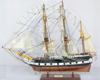 HMS BEAGLE   CHARLES DARWIN   MODEL SHIP + DISPLAY CASE