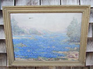 Antique 1923 Edna Earl Crocker Texas Blue Poppies Field Oil Painting 