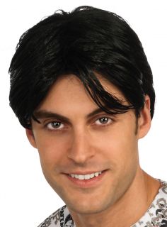 Charlie Sheen Two and a Half Men Halloween Costume Wig Adult