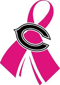 CHICAGO BEARS BREAST CANCER AWARENESS PINK RIBBON 10 VINYL DECAL