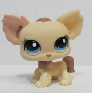 littlest pet shop cream chihuahua dog 1171 he is in very good used 