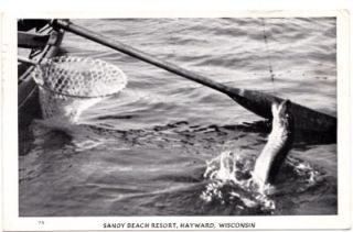 Hayward Wisconsin Sandy Beach Resort Big Fish V P C 1946