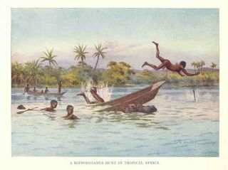 British Empire 1929 A Hippopotamus Hunt in Tropical Africa Old Vintage 