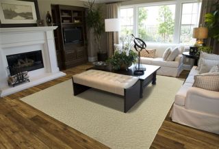 Modern Contemporary Area Rug Brand New Carpet Tan 5x7 5x8 Carved Vine 