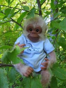 Reborn Life Like Realistic Albino Ape Monkey Chimpanzee OOAK Handmade 